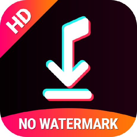 SnapTik Review